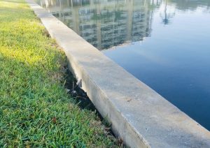 Concrete seawall next to green grass along the water with a reflection of a condo in the water